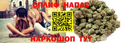 apvp Новокубанск