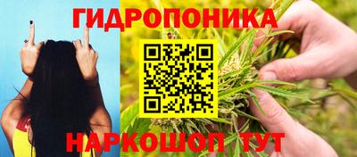 хмурый Нягань