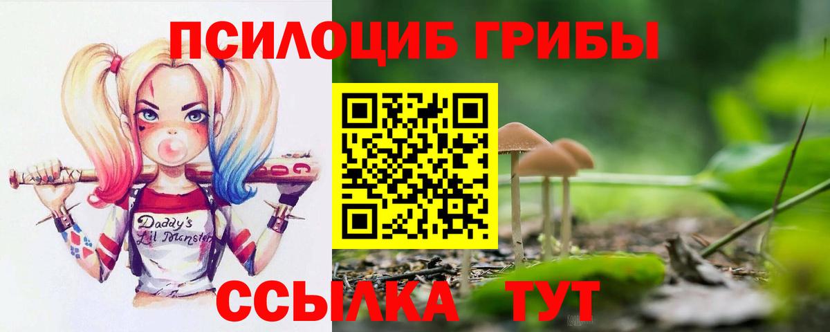 Галлюциногенные грибы Psilocybine cubensis  Вход с VPN  Липецк 